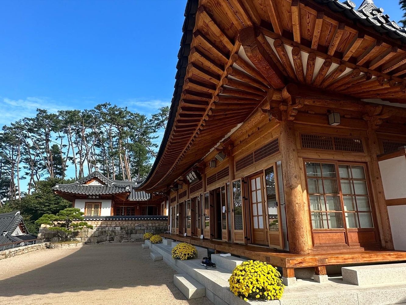 Eye Plus] An afternoon in a hanok