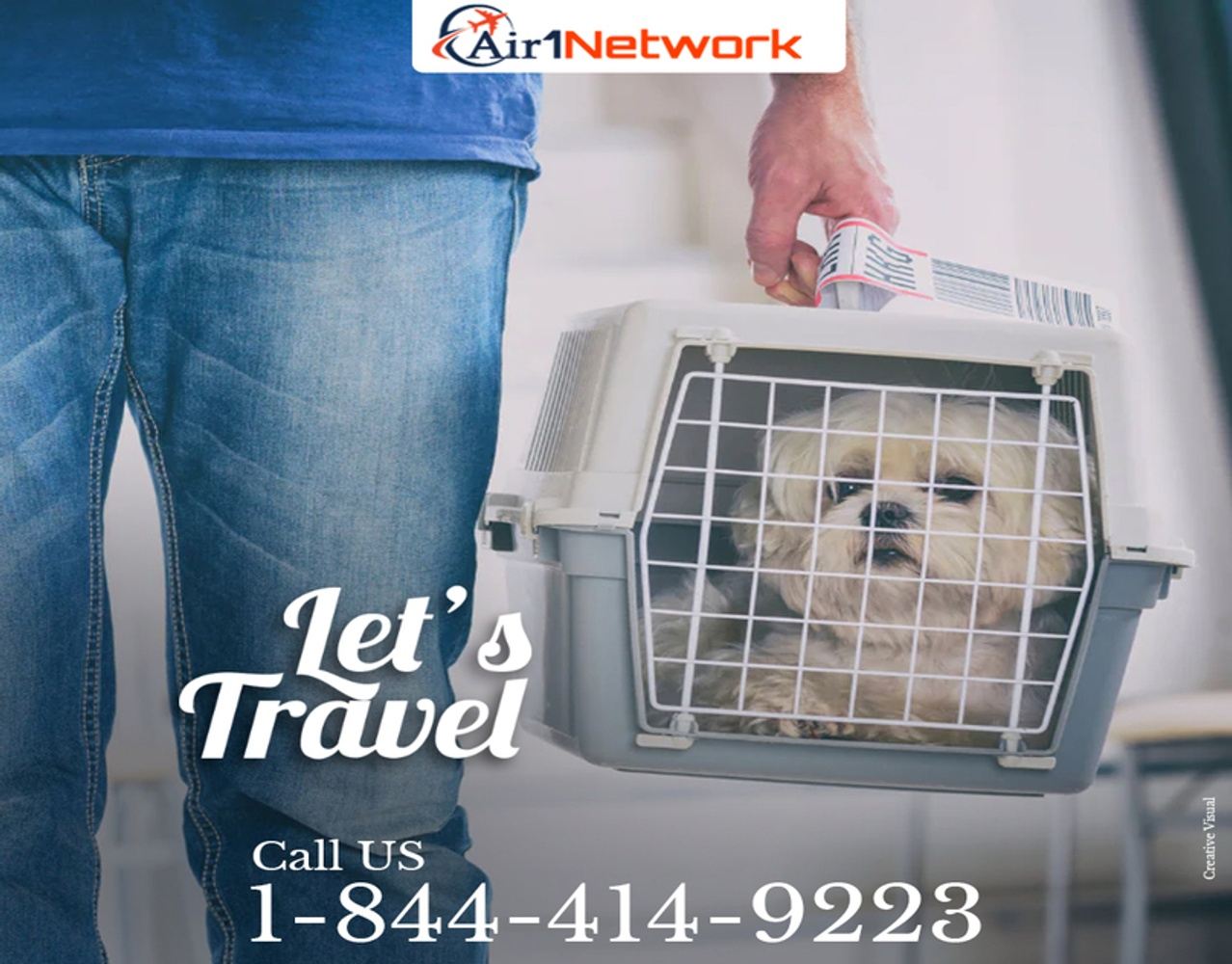 What is the Turkish Airlines Pet Policy?