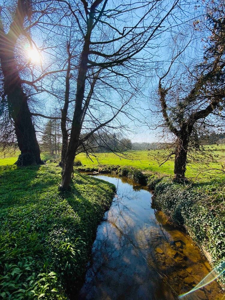 Restorative Countryside Weekend Retreat in Thurgarton, Nottingham NG14, UK