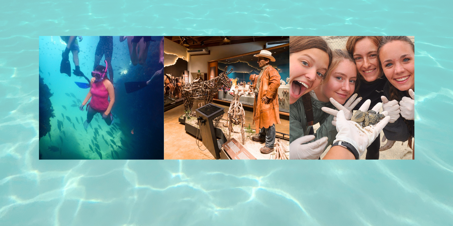 Summer Adventures with Panterra