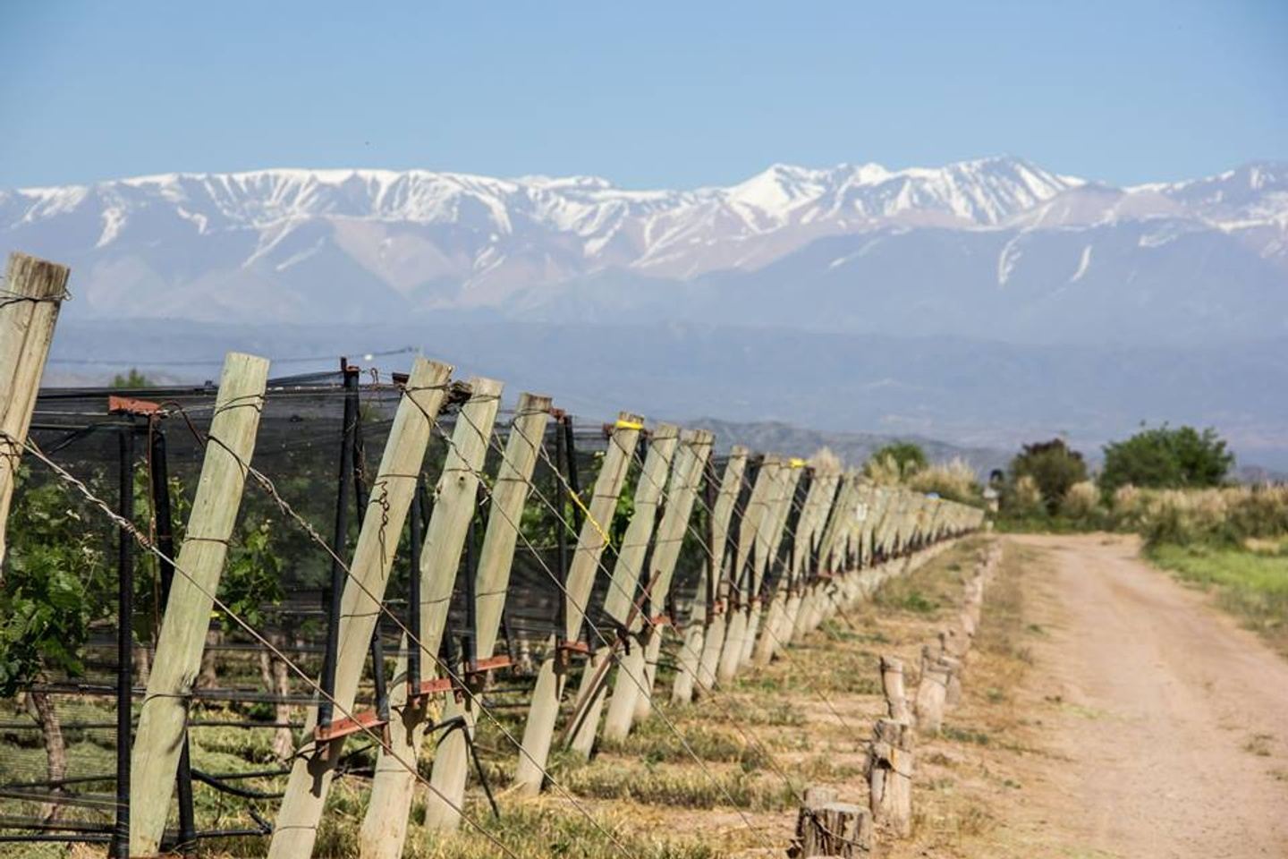 Private Wine Tour in Mendoza, Argentina