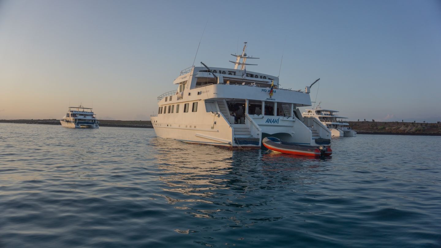 Yacht Anahi A1