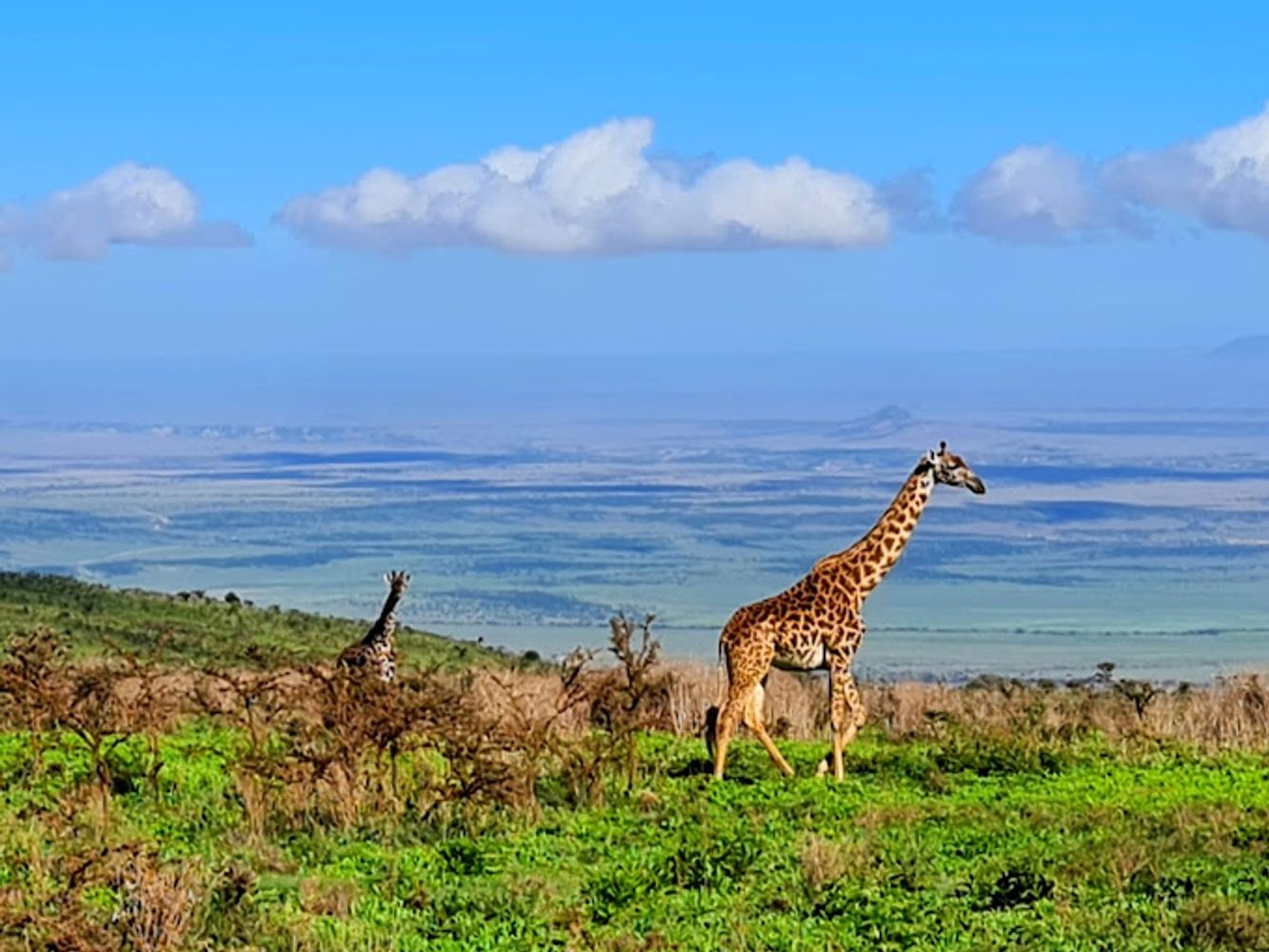 3days culture safari to tarangire  and ngorongoro crater
