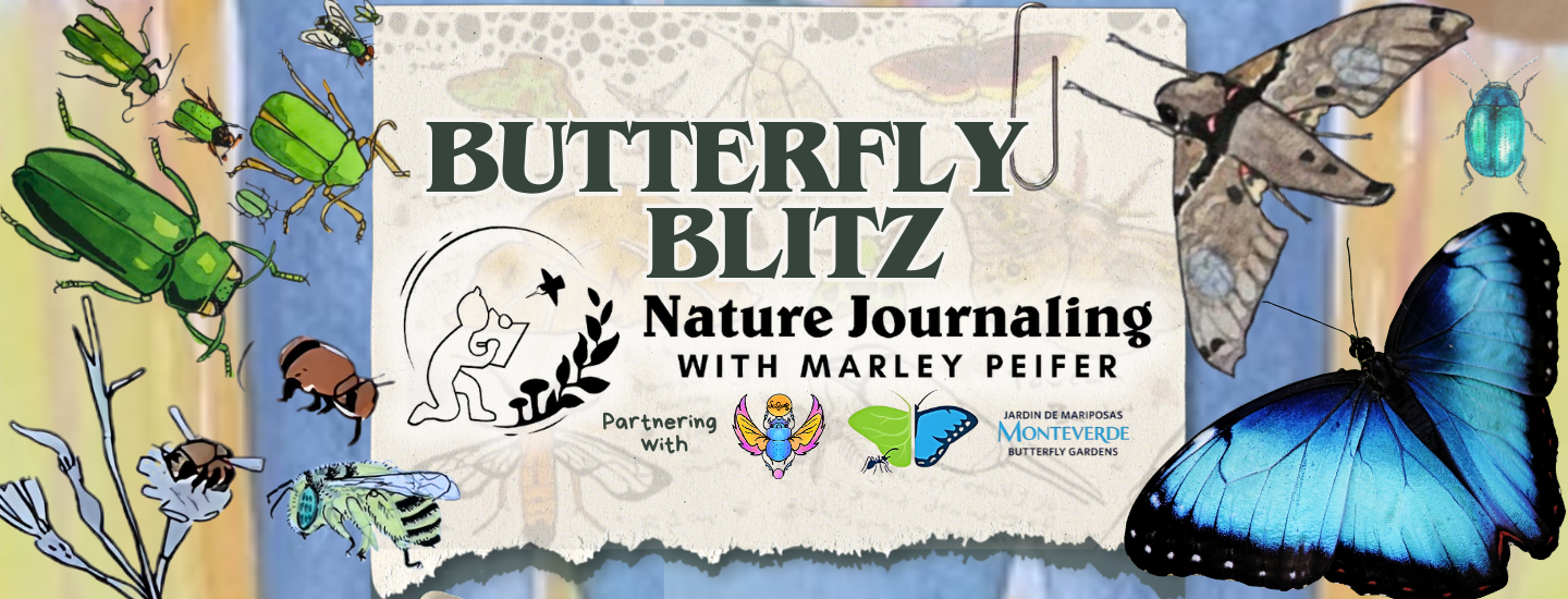 Butterfly Blitz 🦋 Monteverde Nature Journaling Intensive