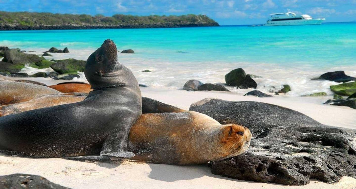 Galápagos Santa Cruz with Bahia Tour 5D/4N