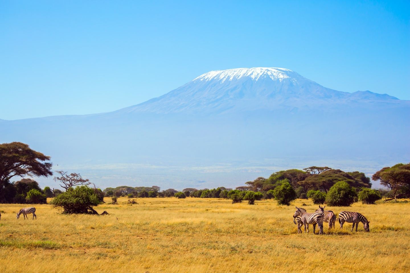 Tanzania & Kenya Wildlife Adventure