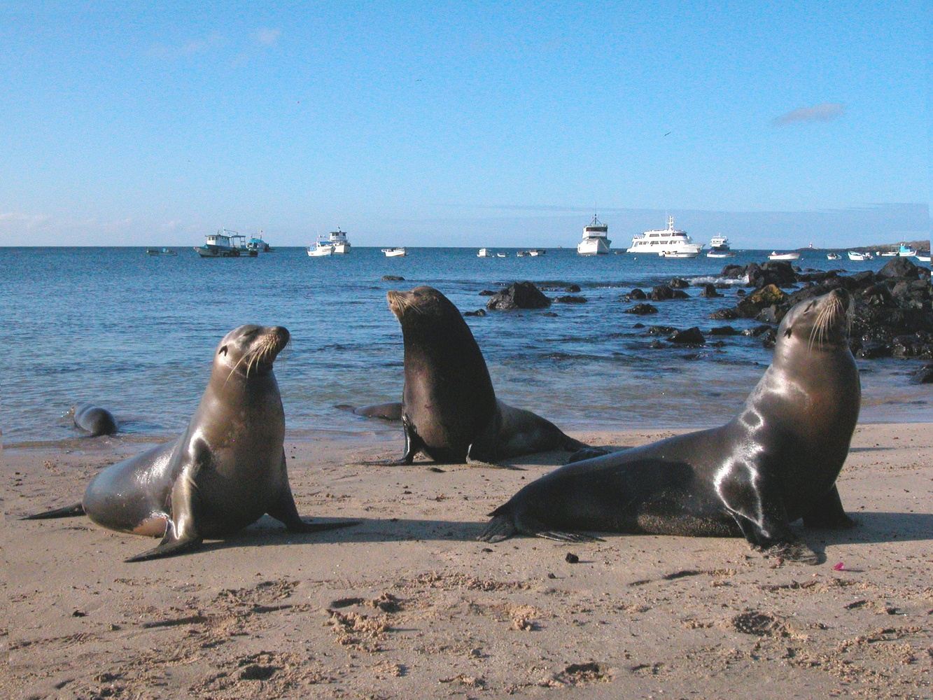 Luxury Journey in Ecuador