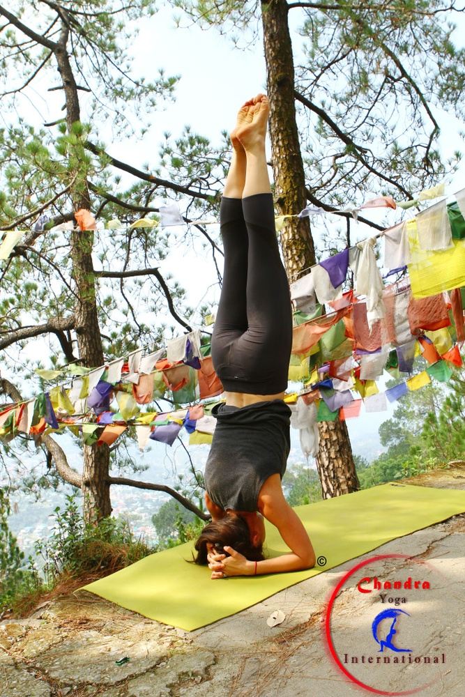 Yoga Teacher Training Course in Rishikesh, India: Chandra Yoga India
