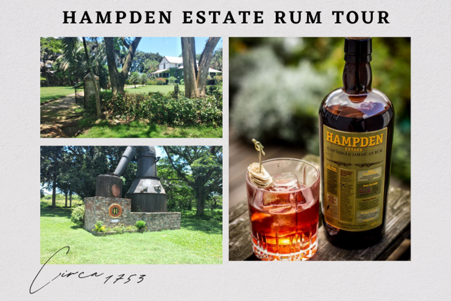 Hampden Rum Tour