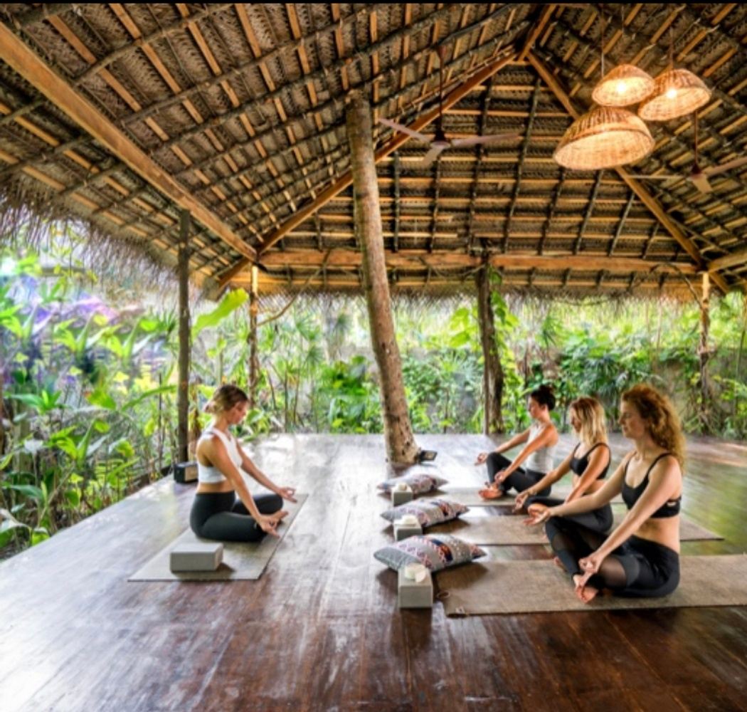 Yoga Holiday Goa