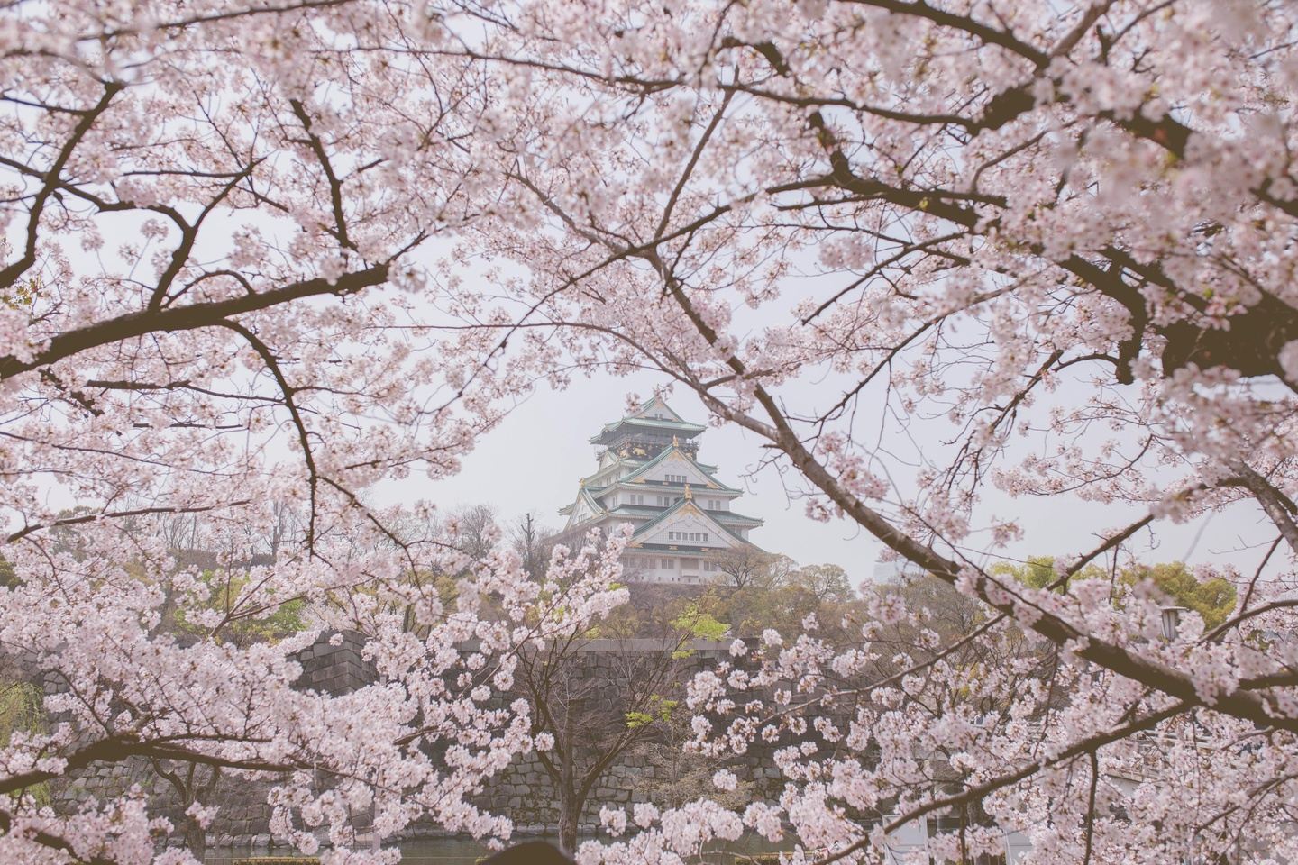 The Golden Route of Japan