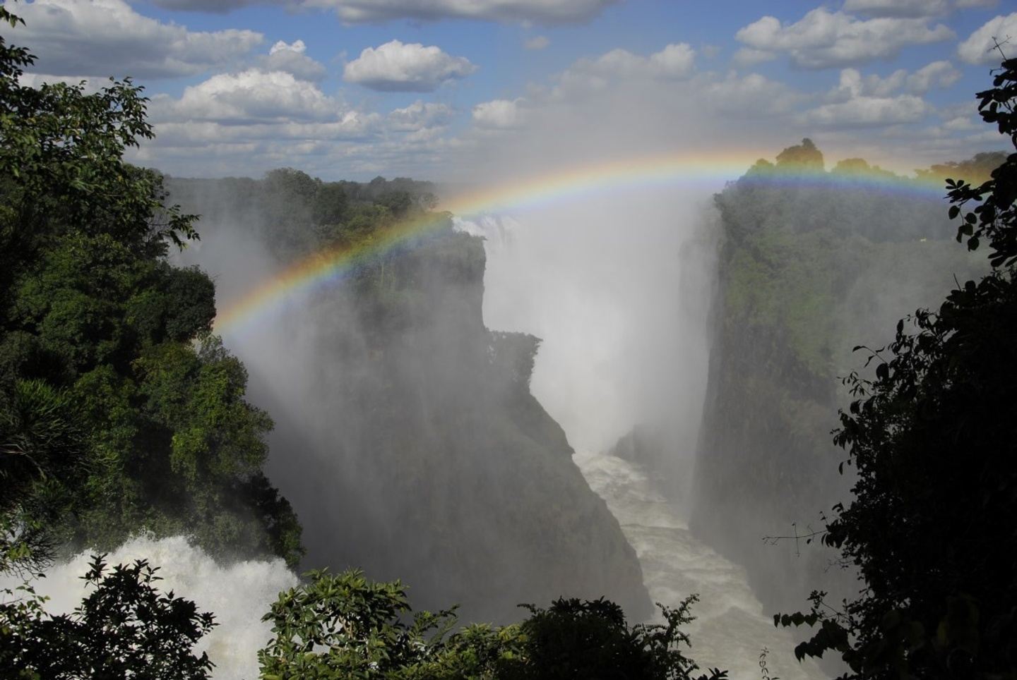 Guided Tour of Rain Forest Victoria Falls