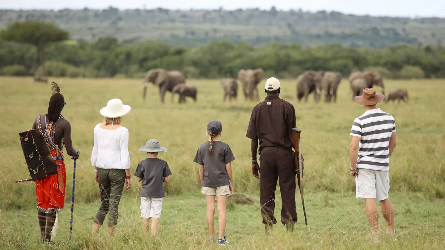 The best  1 day trip tour Nairobi National Park  safari