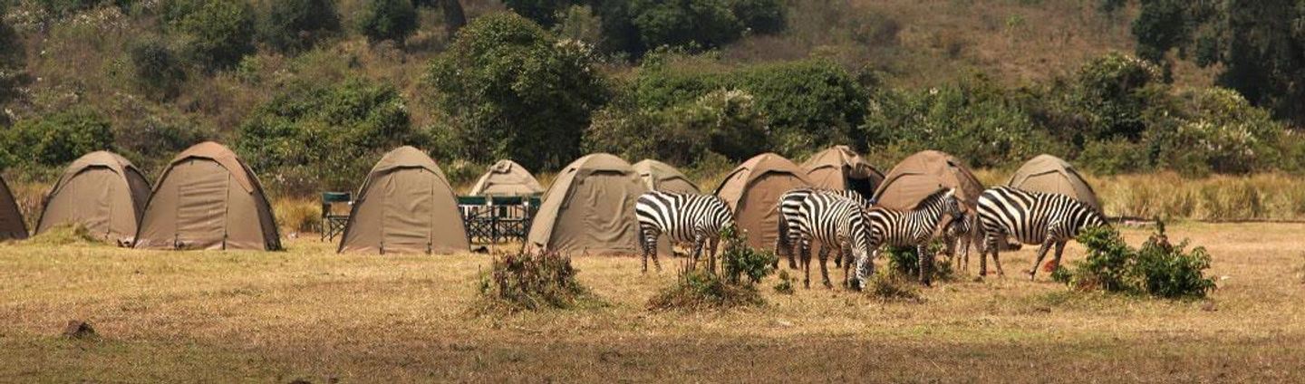 4-Day Discover Tanzania  Camping Safari.
