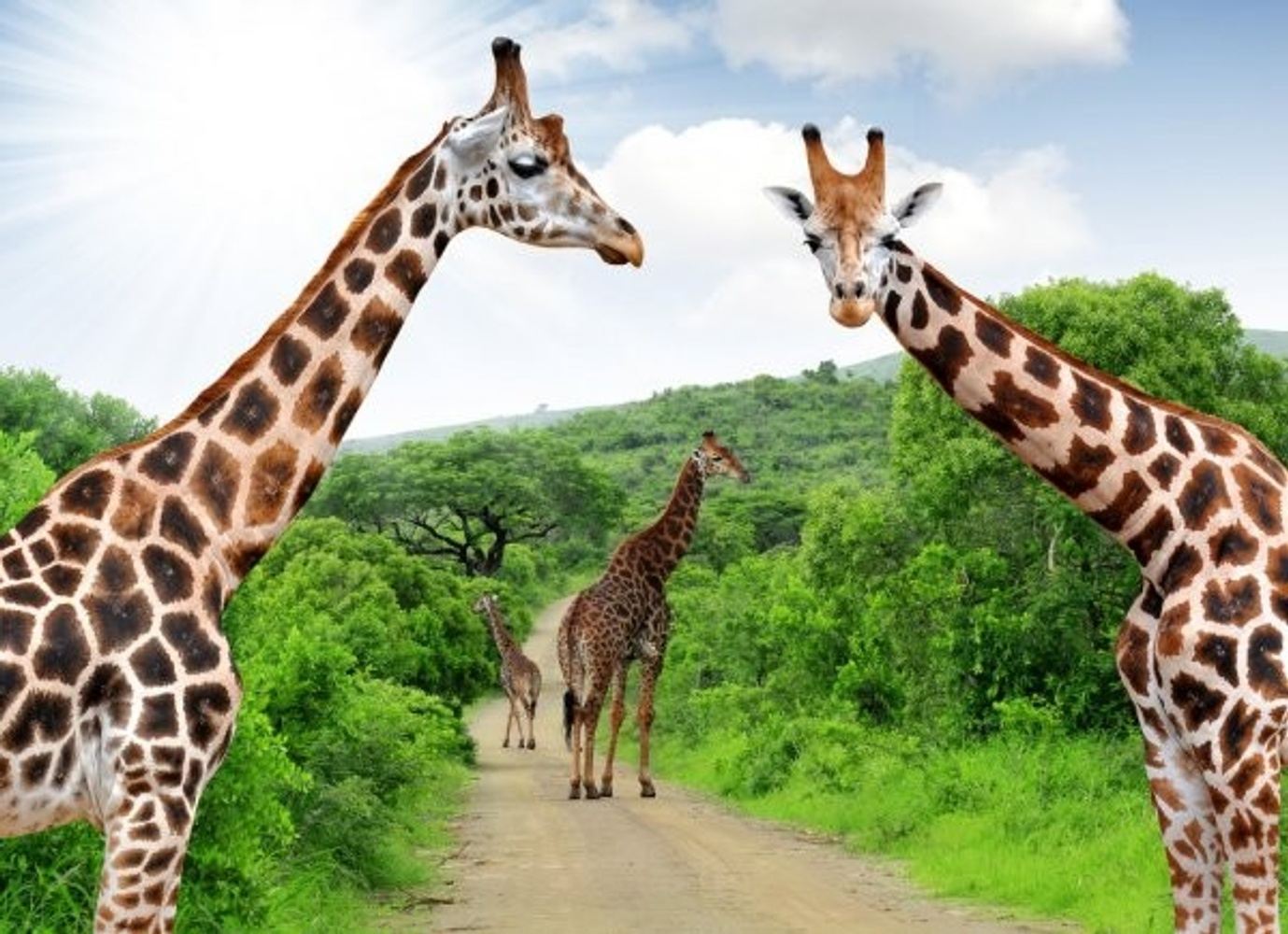 Tanzania  Luxury4 Days Camping Big 5 Serengeti Royal Tour package