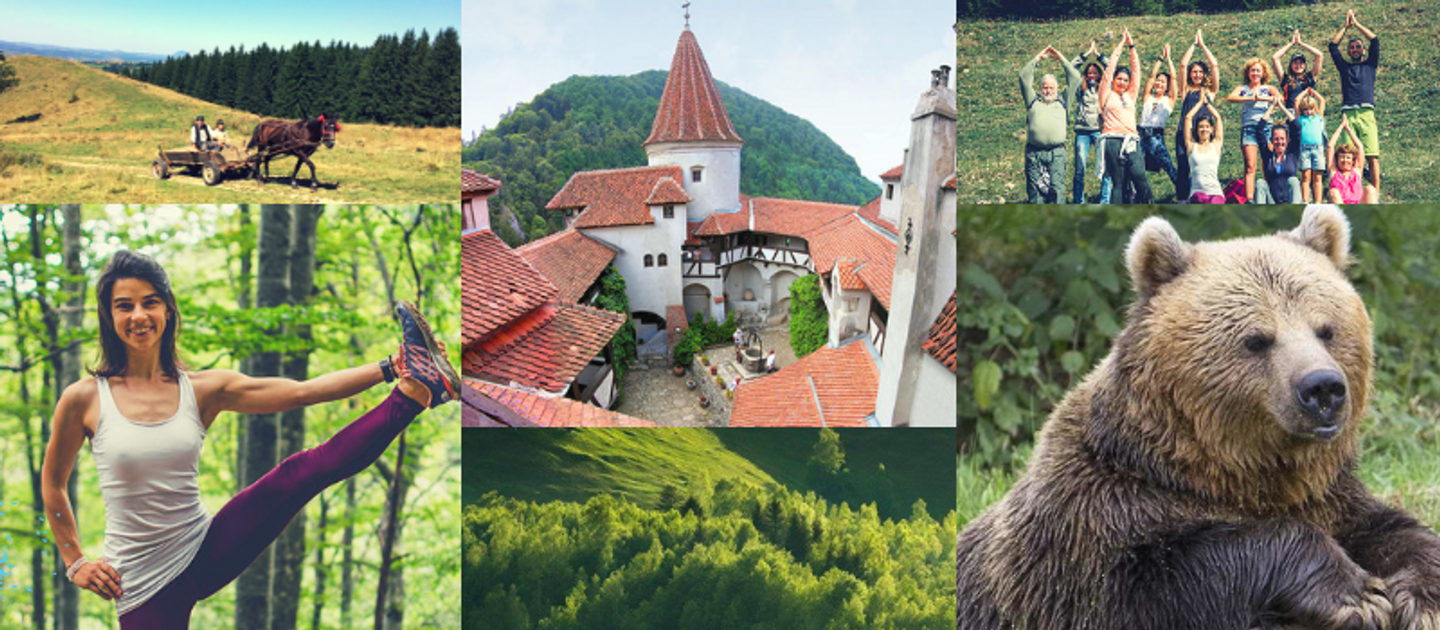 Transylvania Wild Side - Discovery, Hiking & Yoga trip