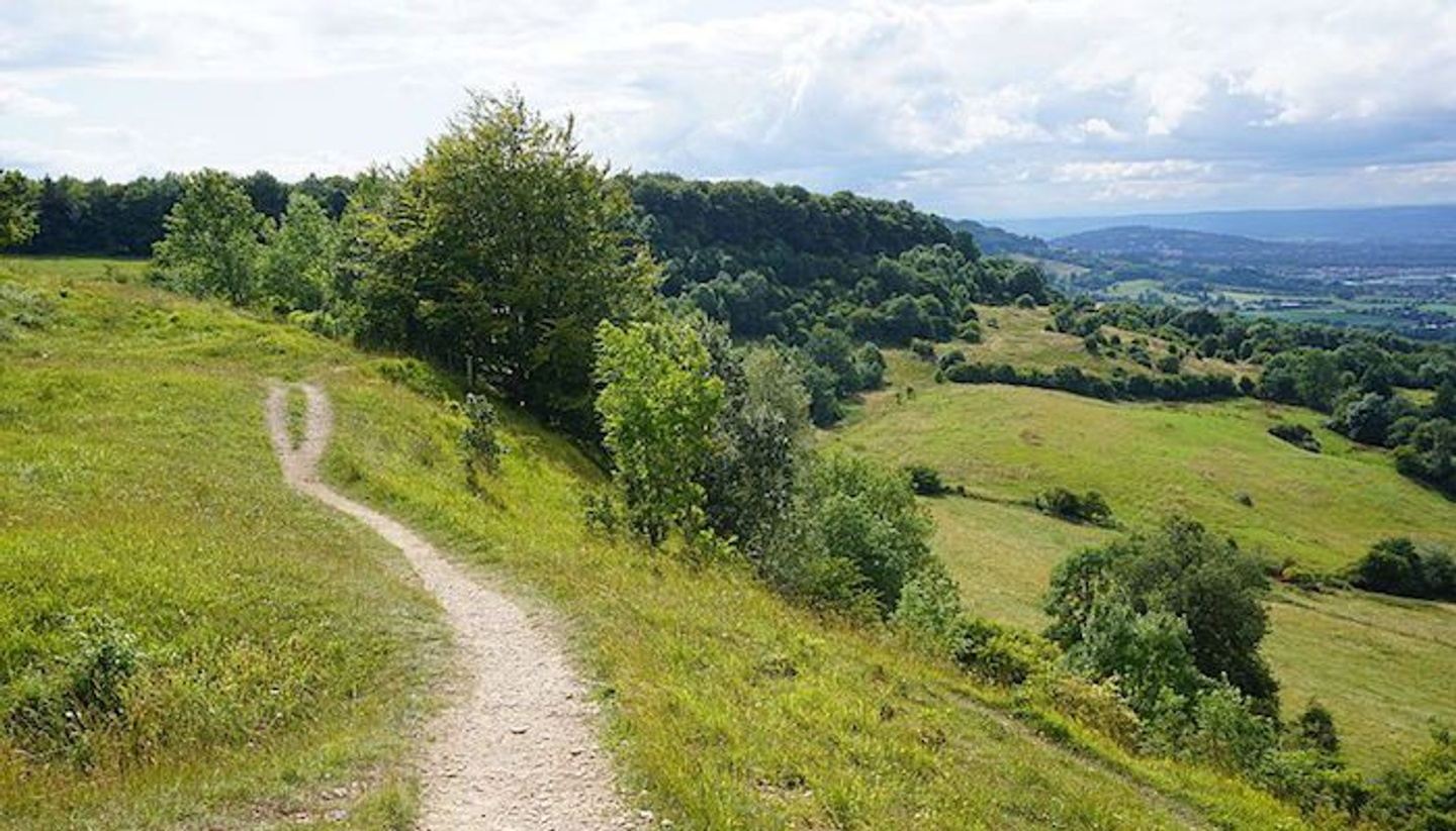 Cotswold: Guided Trail Running