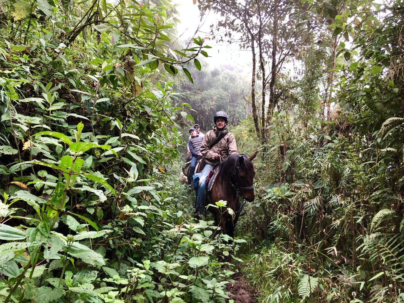 Horseback riding in Ecuador - Andes & Cloud Forest