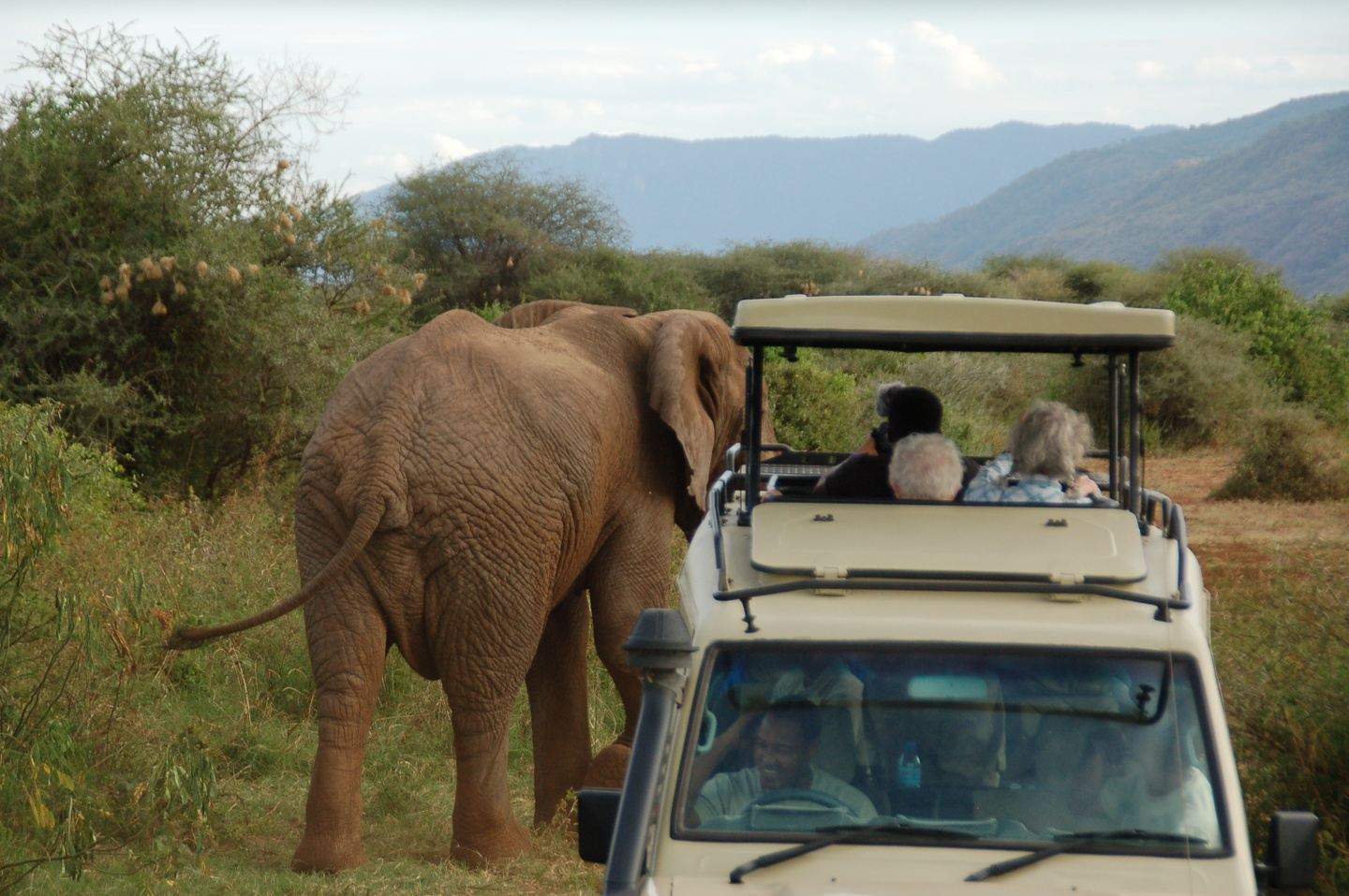16-Day African Safari & Zanzibar Donna & Friends LAND PACKAGE