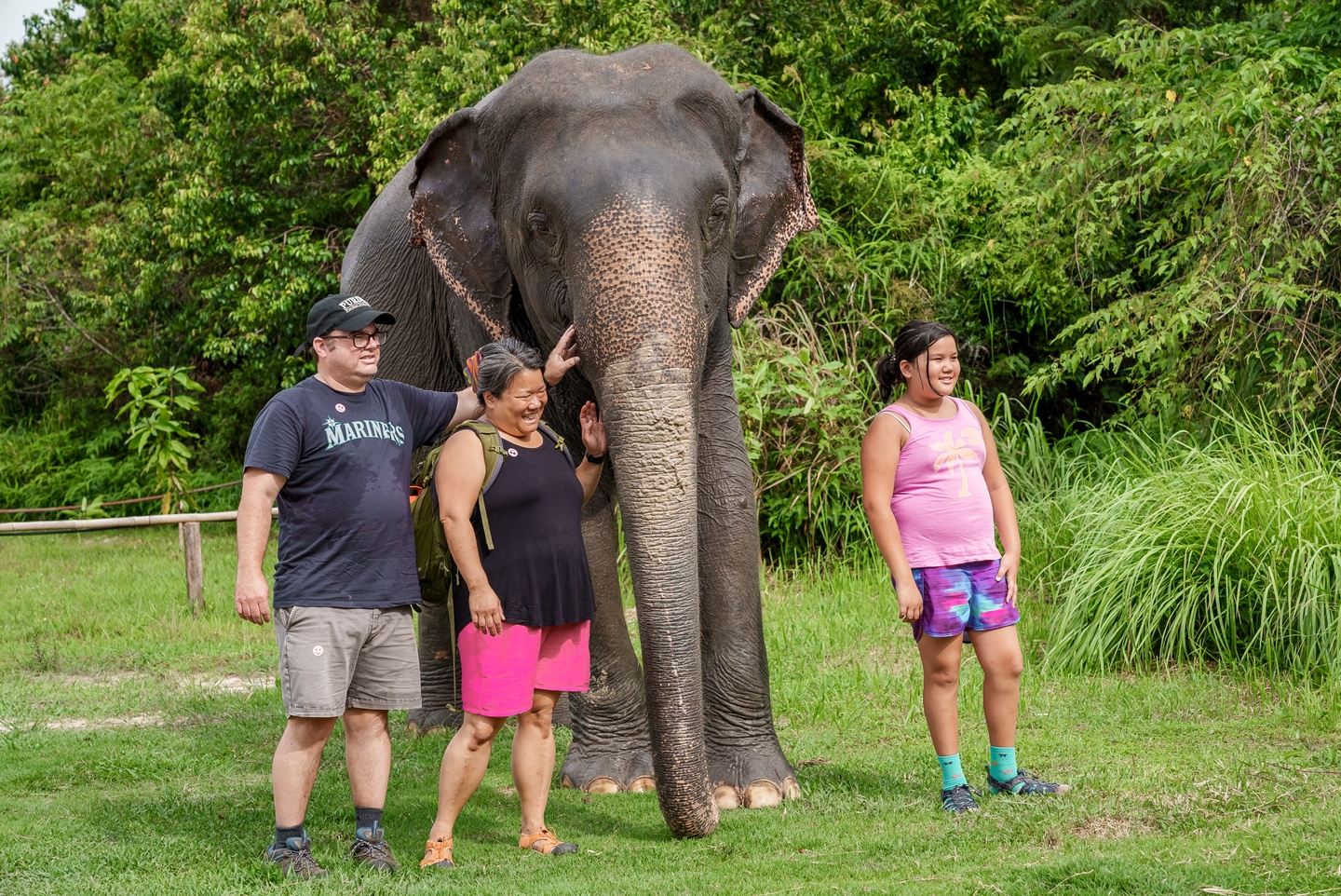 Kulen National Park Tour With Kulen Elephant Forest