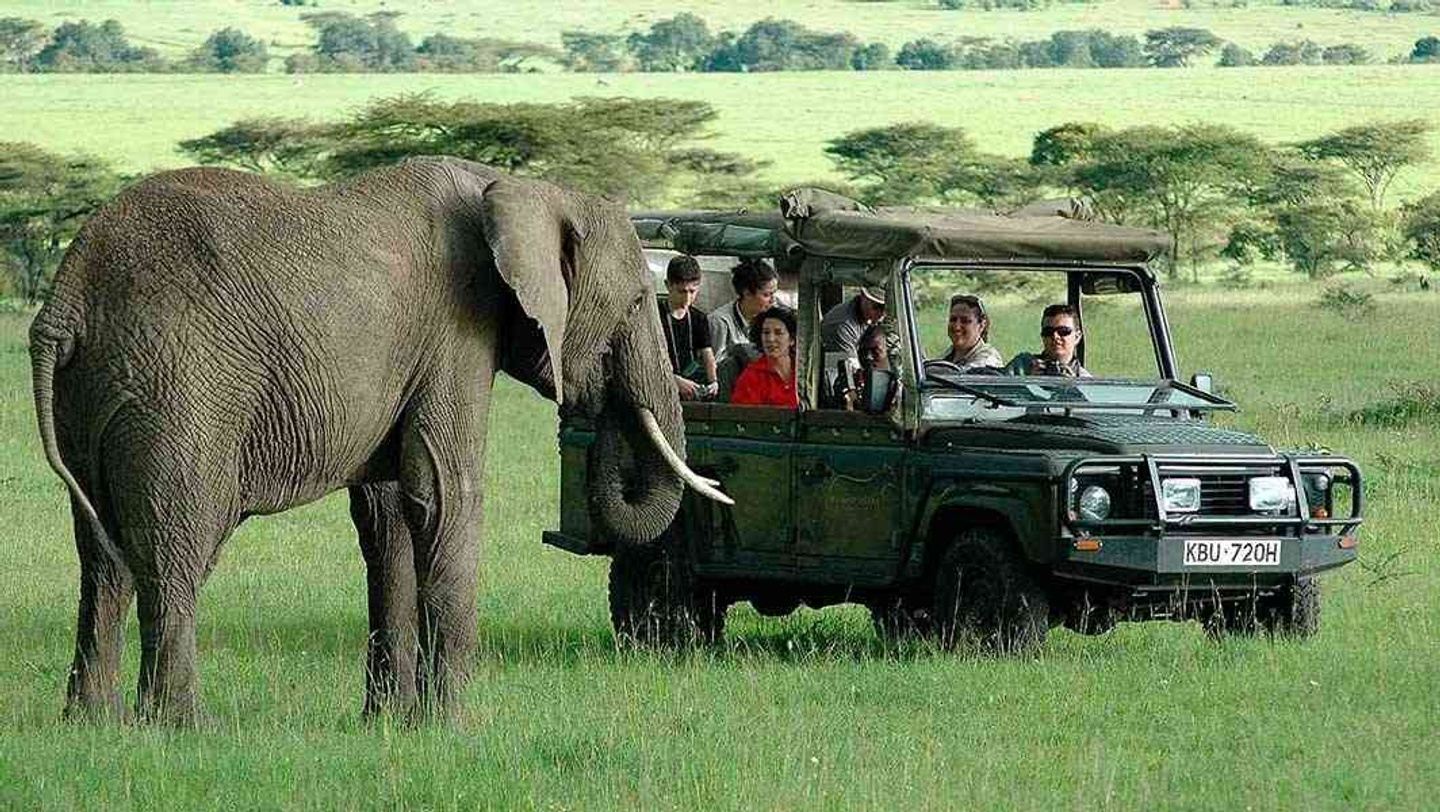 Safari N Side Gigs Kenya Edition May 2024