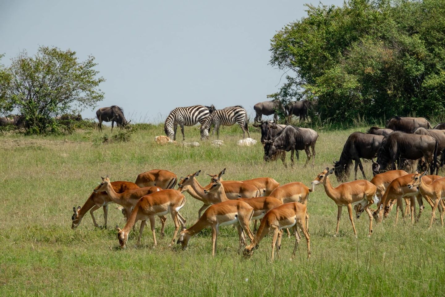 12 Days - Seeds of Wisdom Kenya Culture & Wildlife Safari 2023