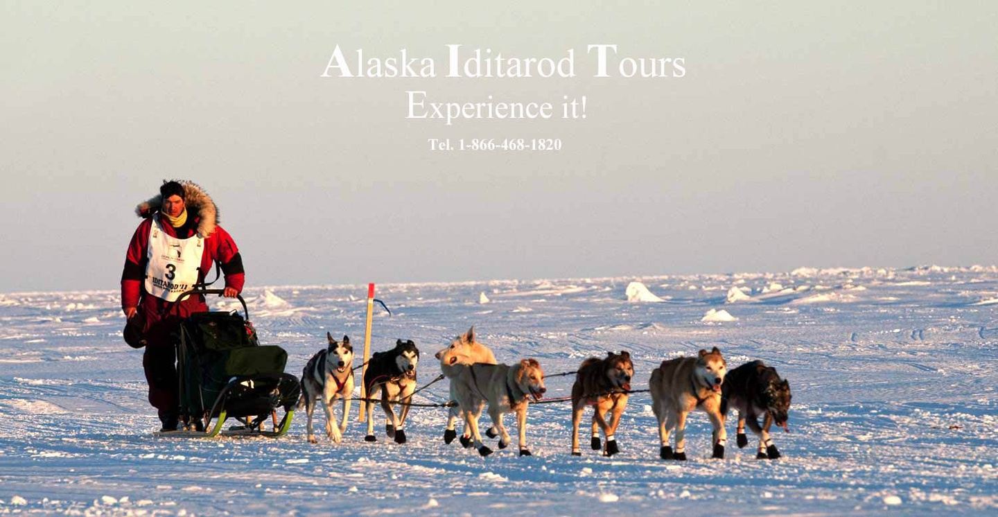 9 Day Iditarod Race Nome Finish Tour
