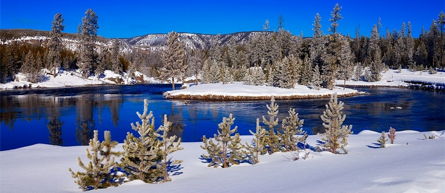 Spectacular Yellowstone in Winter