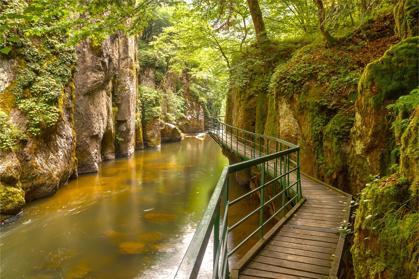 Rhodope Mountains Discovery