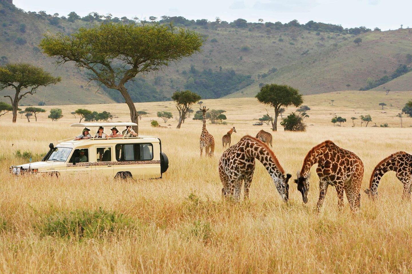 Best of Kenya 11 Day Safari