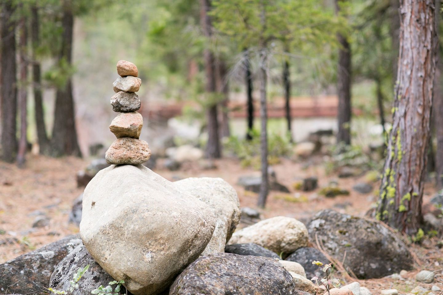Shasta Sanctuary: Autumnal Yoga + Breathwork Retreat