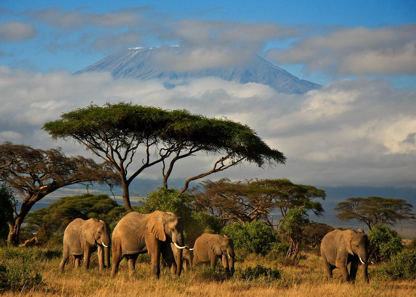 Mt. Kilimanjaro: Rongai Route