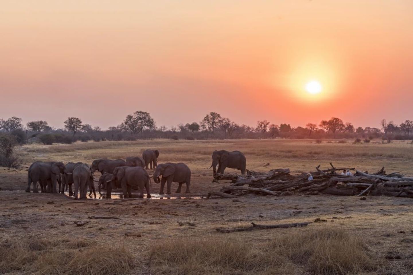 Botswana Explorers' Safari