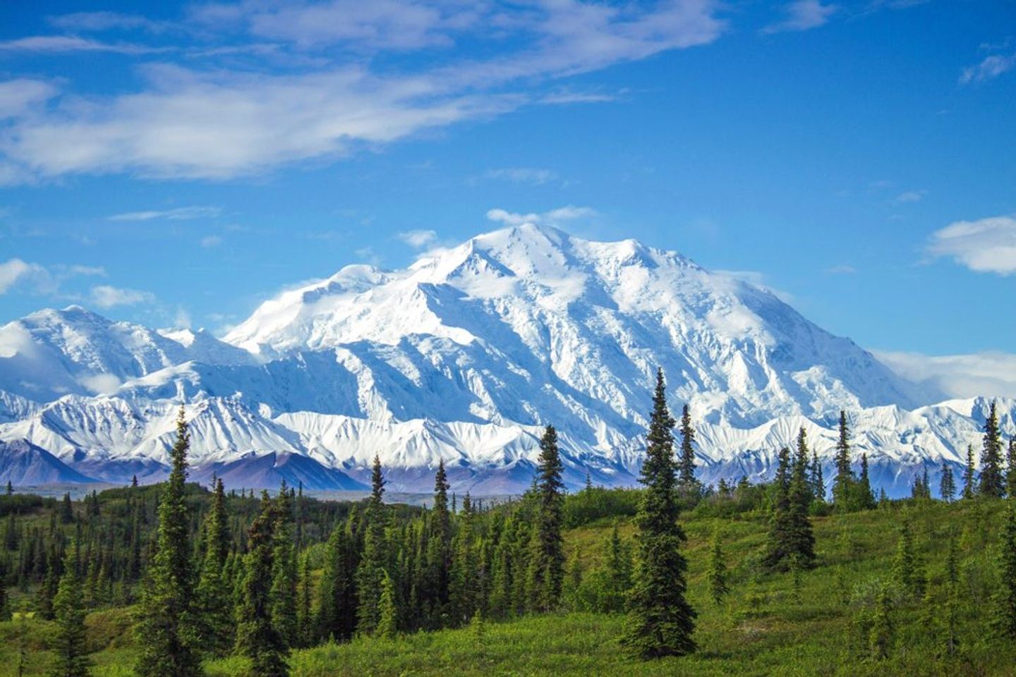 Alaska - Denali National Park & Talkeetna