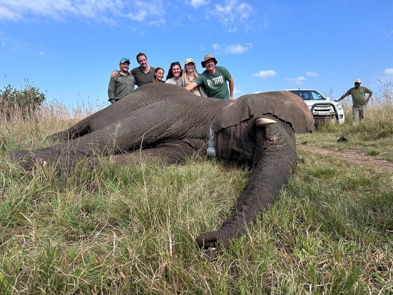 South Africa - Elephant & Rhino mission