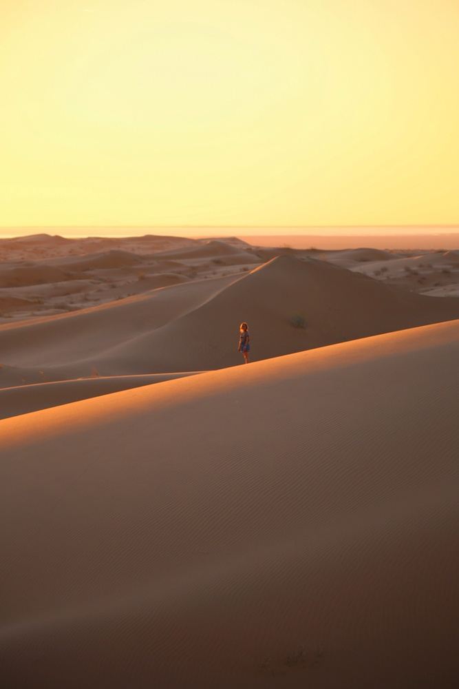 Desierto de Sonora (16-18 nov)