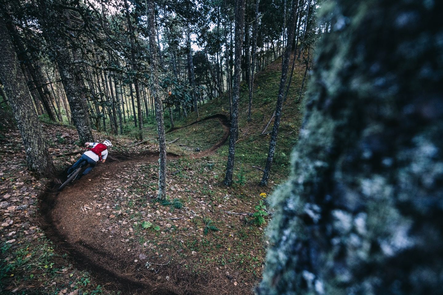 Nov 5th - 12th, 2024 Oaxaca MTB Enduro