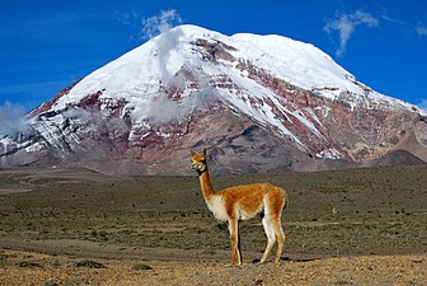 Chimborazo private tour from Guayaquil
