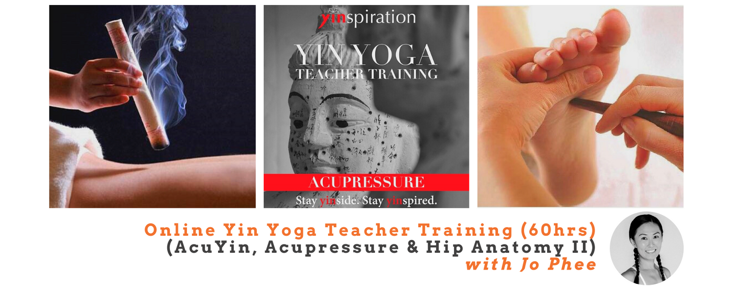 Online Yin Yoga Teacher Training: AcuYin, Acupressure & Hip Anatomy II