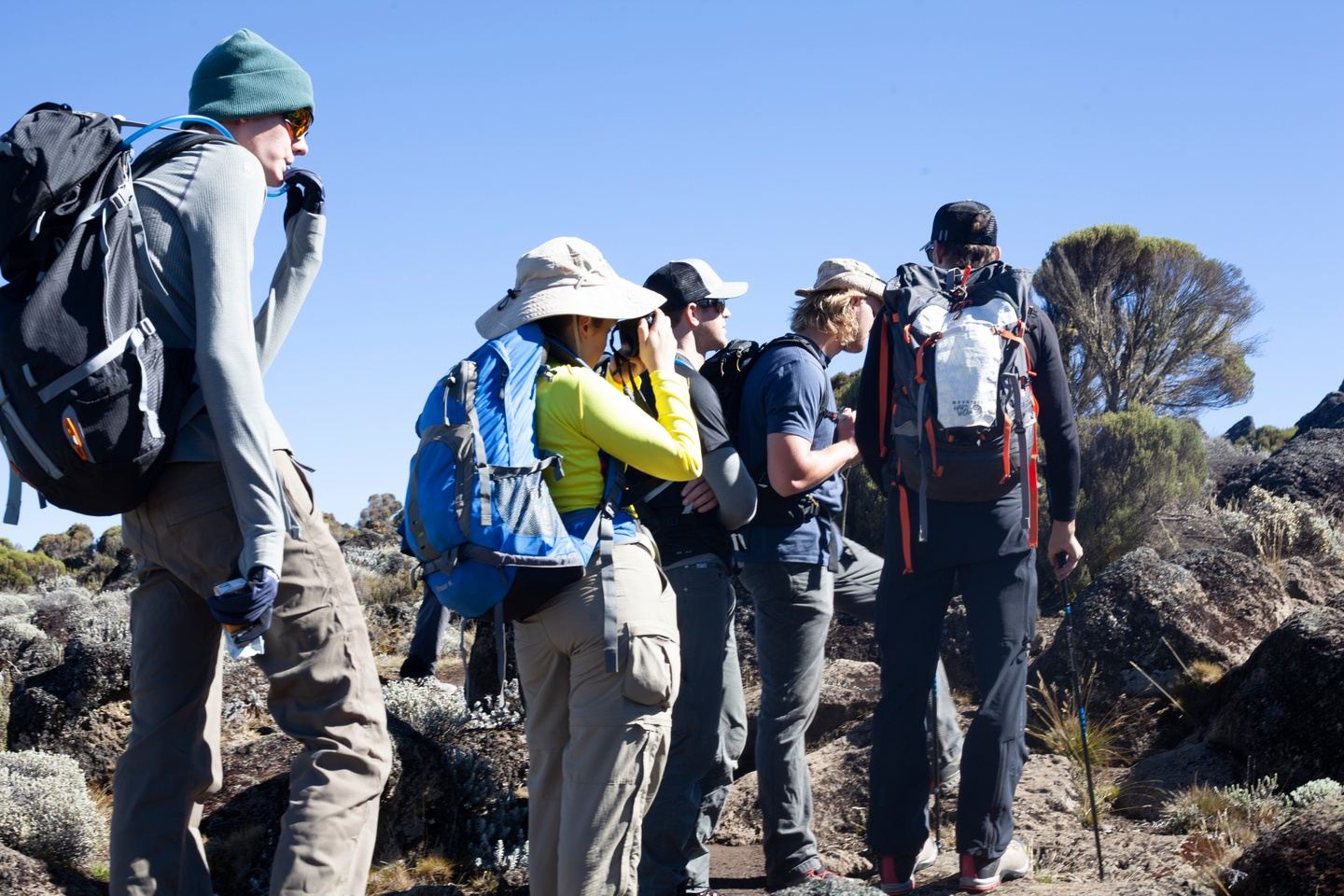 7 Days Incredible and Bookable Mount Kilimanjaro Hiking Packages