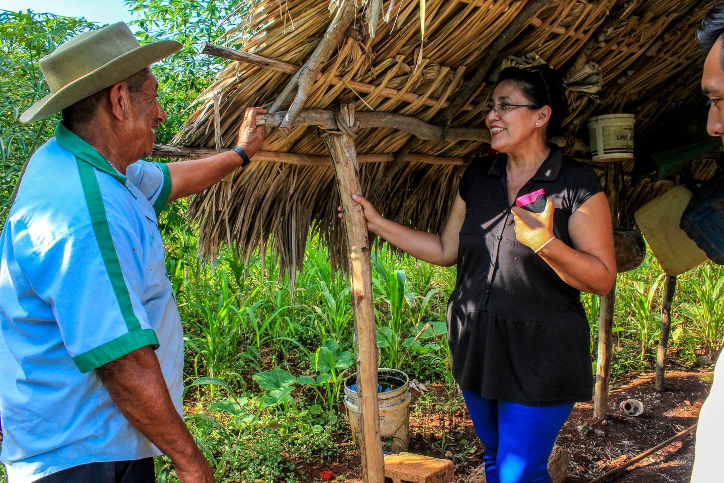 DE LA MILPA AL TURISMO: Aprende a cultivar en la milpa