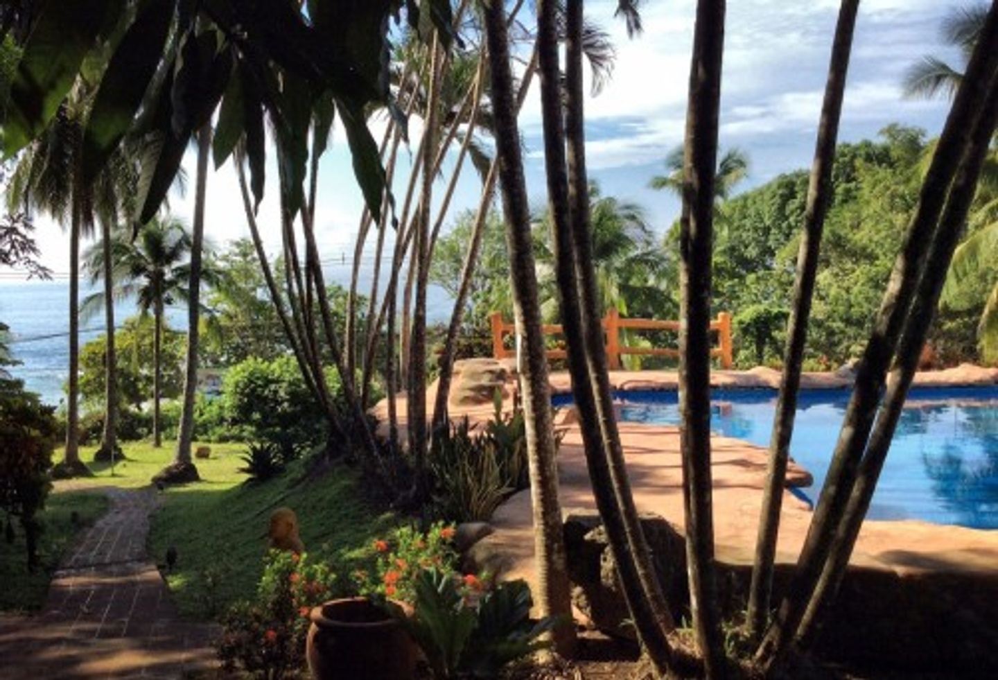 7Day Yoga and Spanish Retreat in Montezuma, Puntarenas Province, Costa