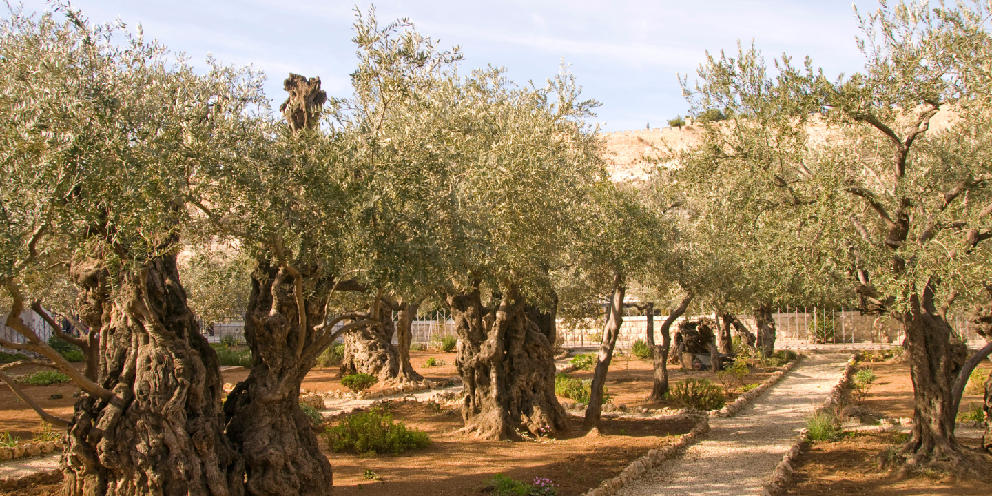 Greenville First Church - Journey Through Israel