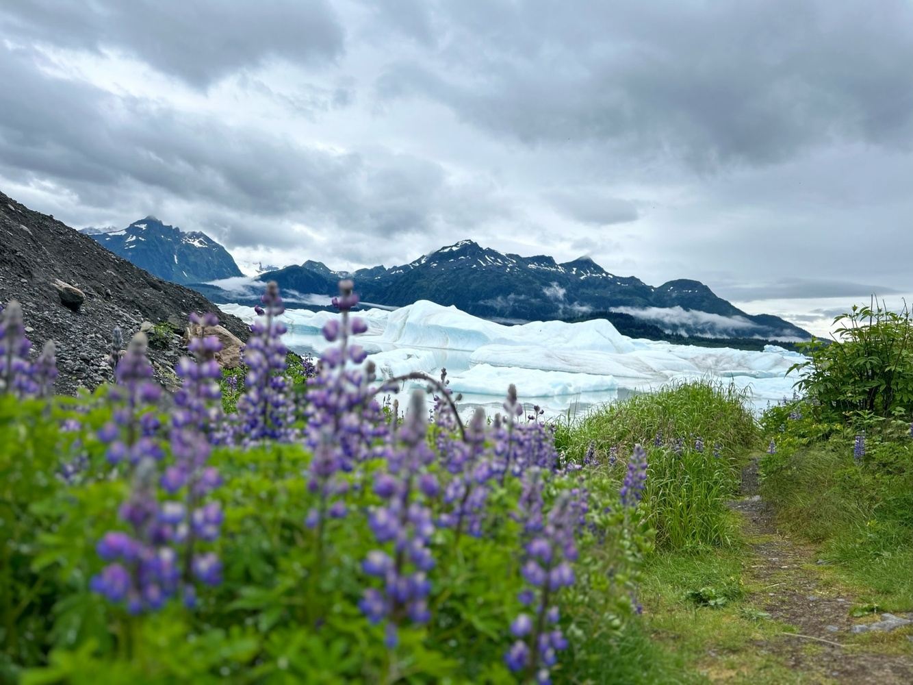 Nature Journaling with John Muir Laws