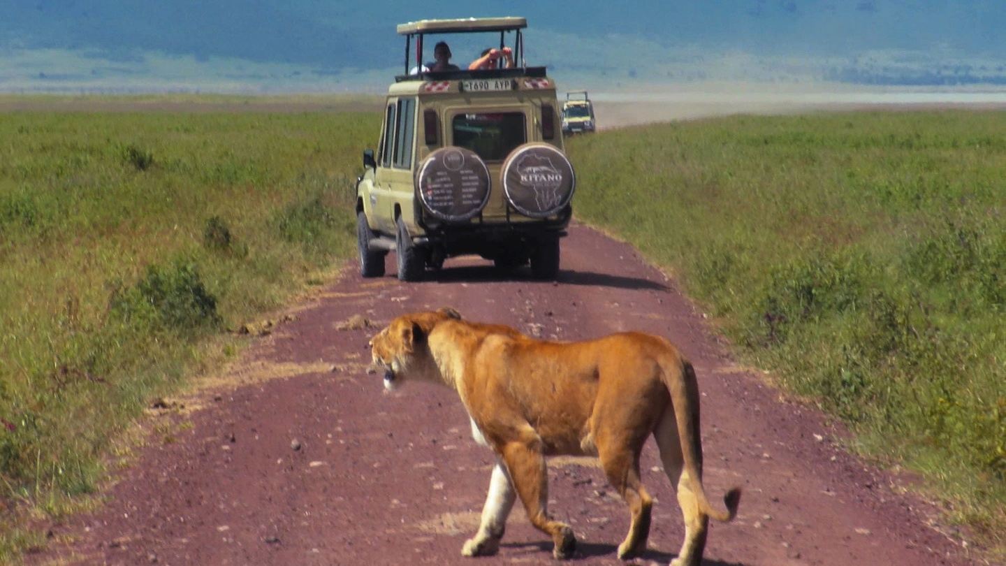 5 Days Luxury Safaris-Tarangire-Serengeti-Ngorongoro & Manyara NP