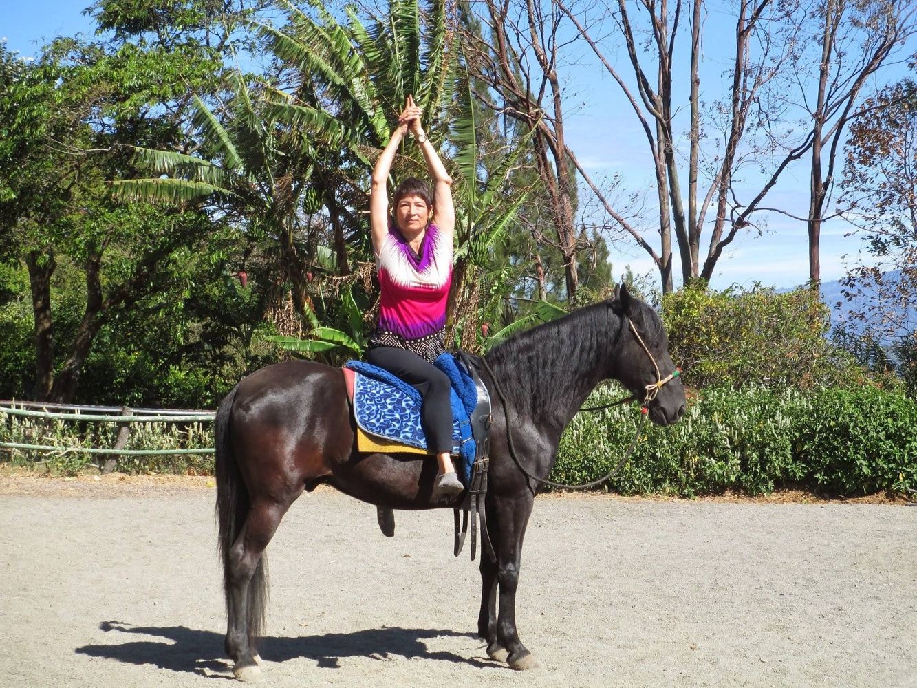 Yoga and horses workshop