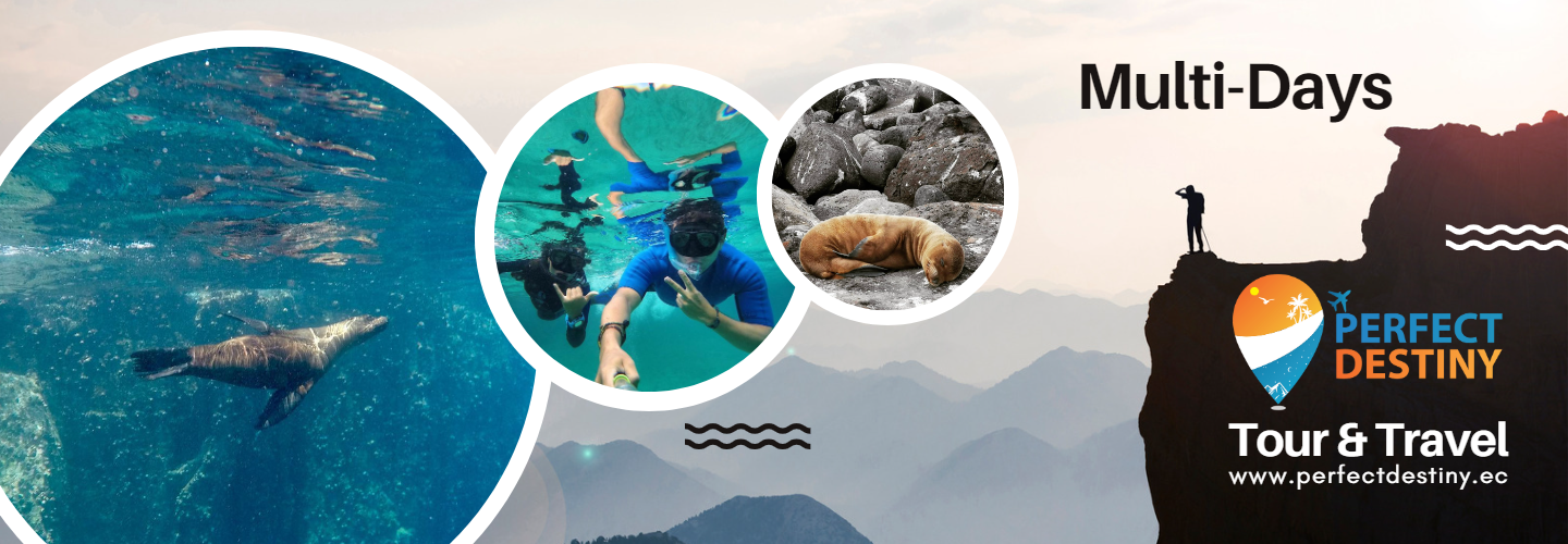 6 Days Galapagos Island Hopping Tour