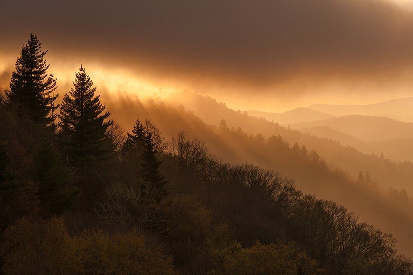 Great Smoky Mountains Spring  w/ Joseph Rossbach & Kurt Budliger