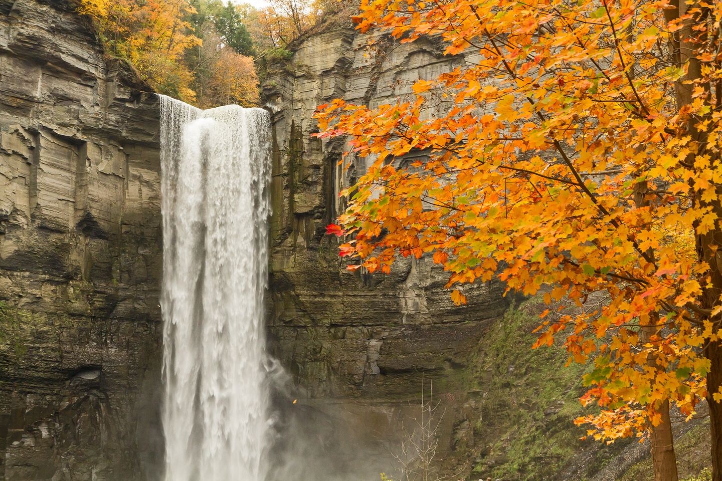 Autumn Waterfalls of the New York Finger Lakes