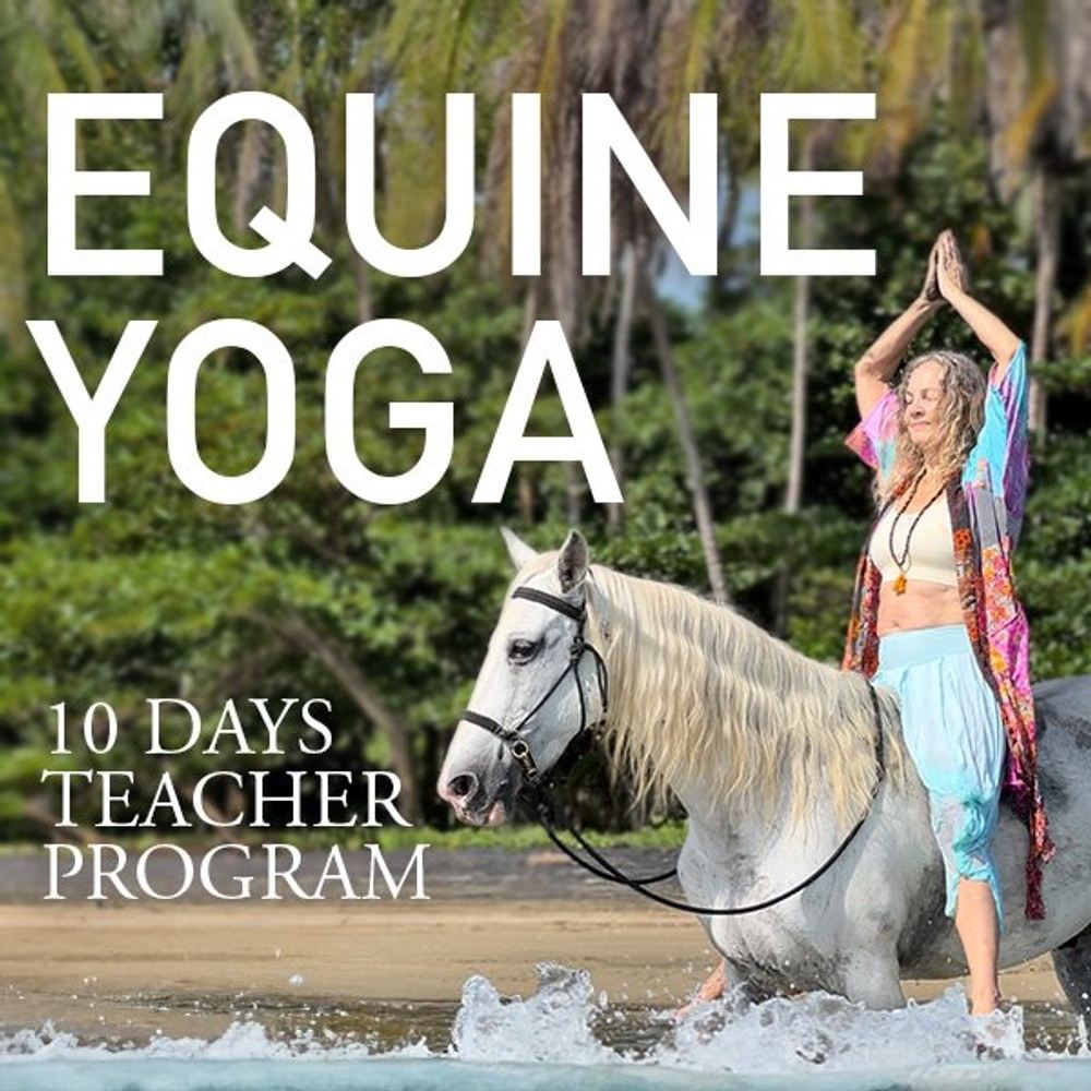 Equine Yoga Teacher Program, 10 DAYS INTENSIVE